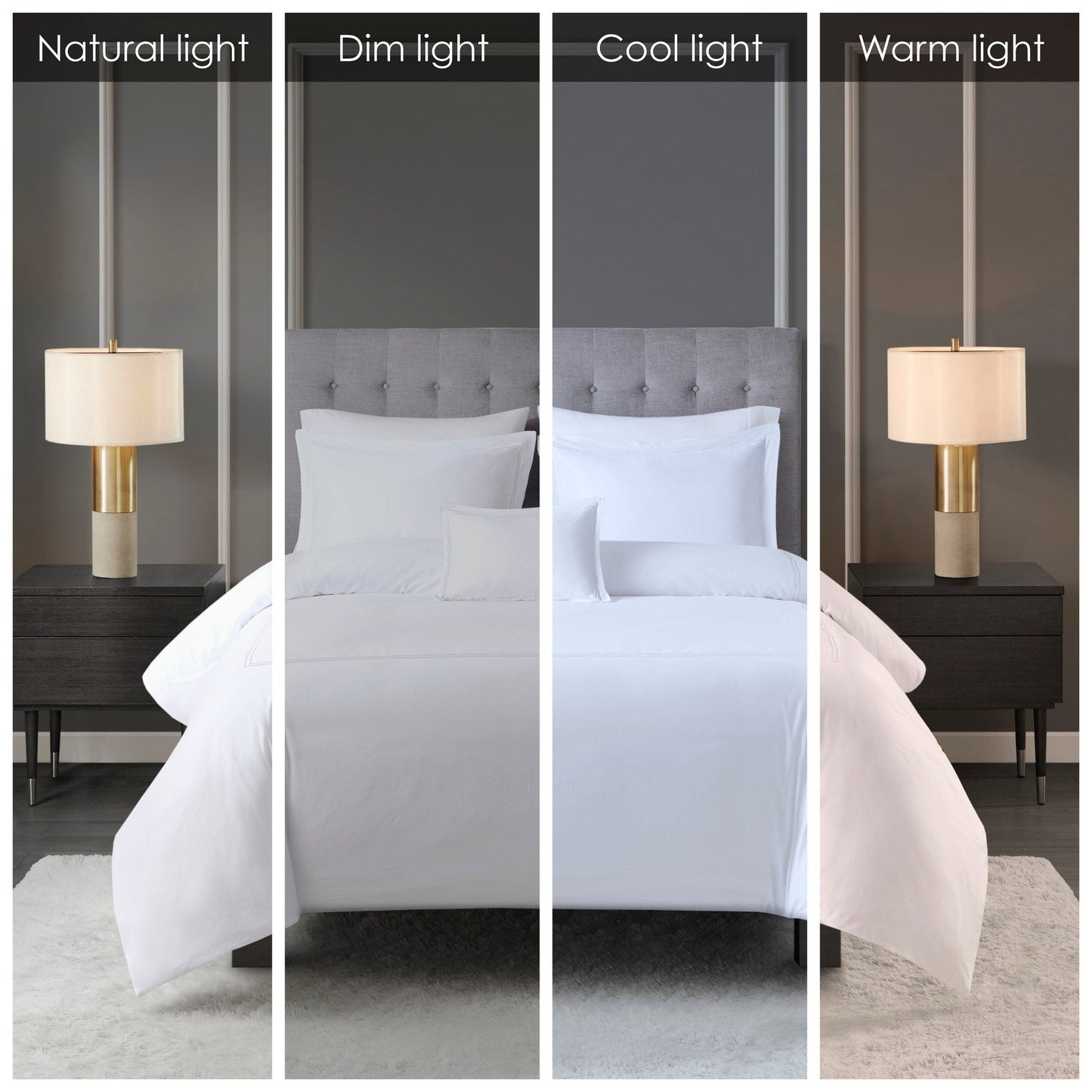 Parure de lit Madison Park Signature 500 fils au pouce carré, 100 % satin de coton brodé, collection de luxe