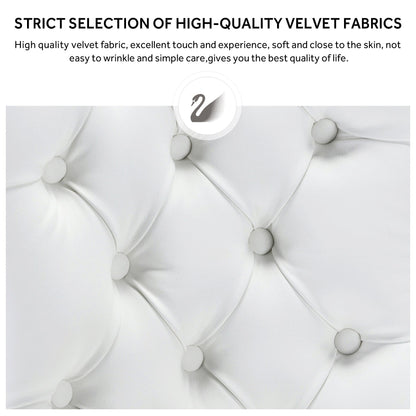 Chaise de salle à manger capitonnée en velours avec pieds en bois massif, lot de 6