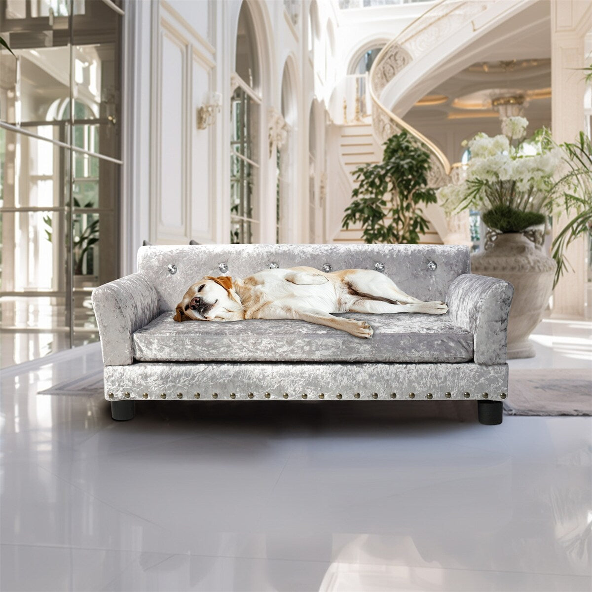 Lit pour animal de compagnie en velours capitonné avec coussin amovible